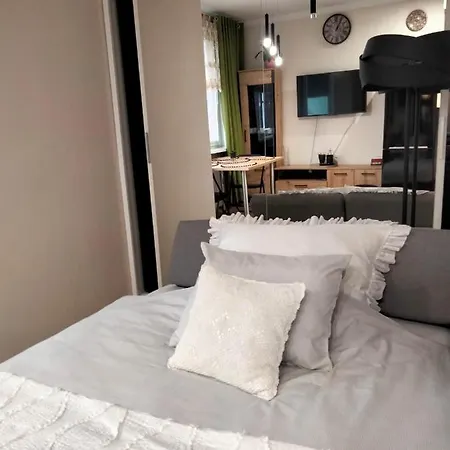 Uroczy Loft Appartement Częstochowa